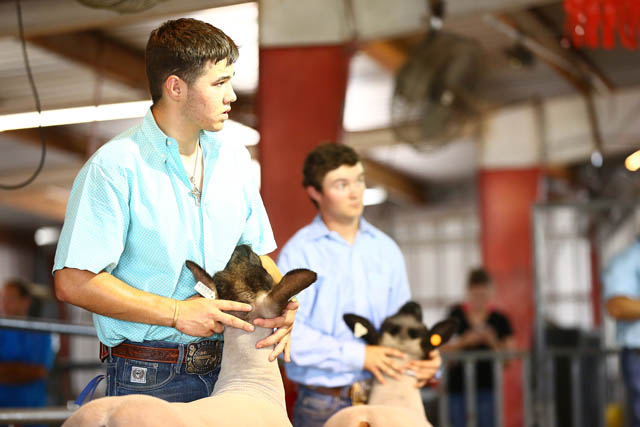 North Texas Fair & Rodeo